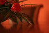 Hotel Coandi Arad Romania: cazare - Apartament